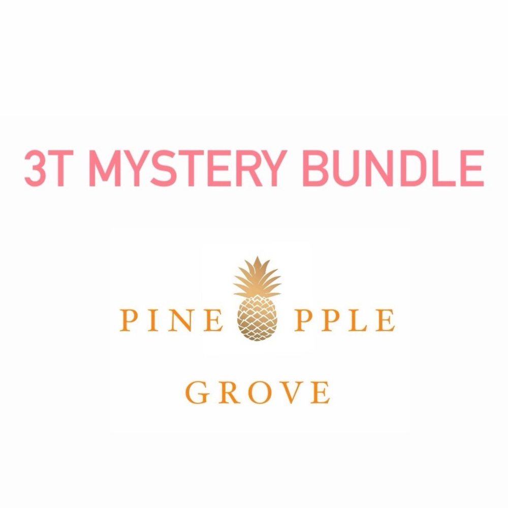 3T Mystery Bundle (Toddler Girl)